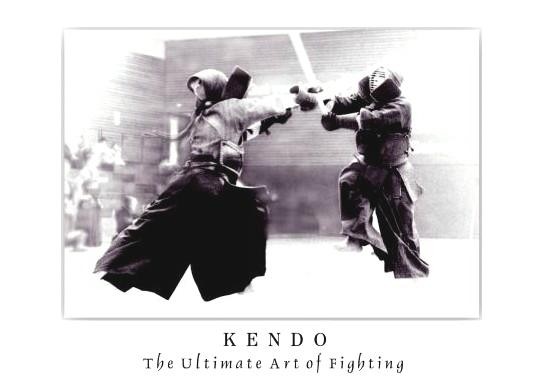 Poster - The Ultimate Art of Fighting